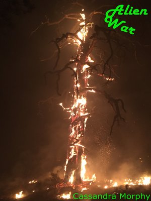 cover image of Alien War